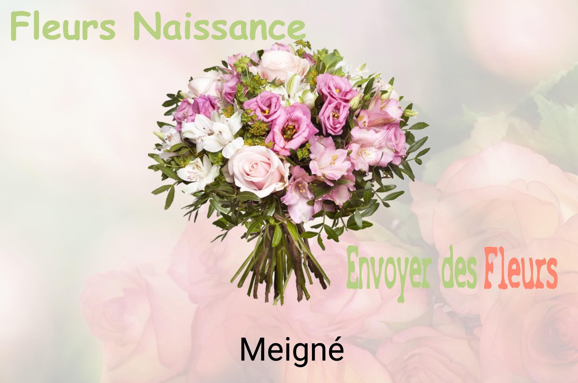 Bouquet de fleurs de naissance livré à Meigné