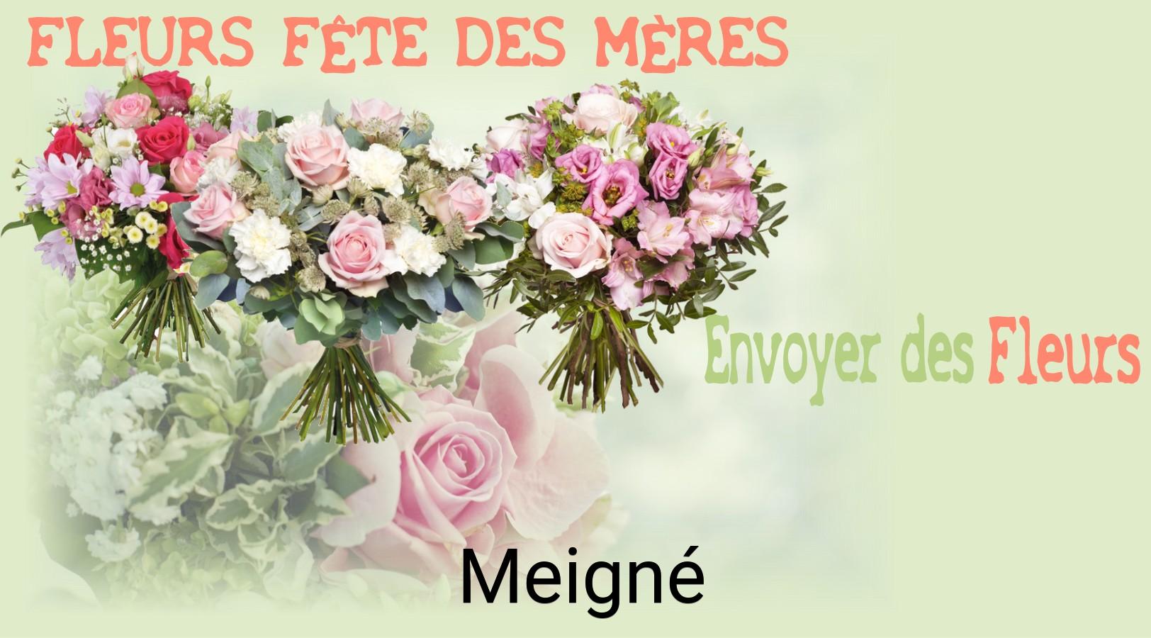 Bouquet de Fête des Mères livré à Meigné